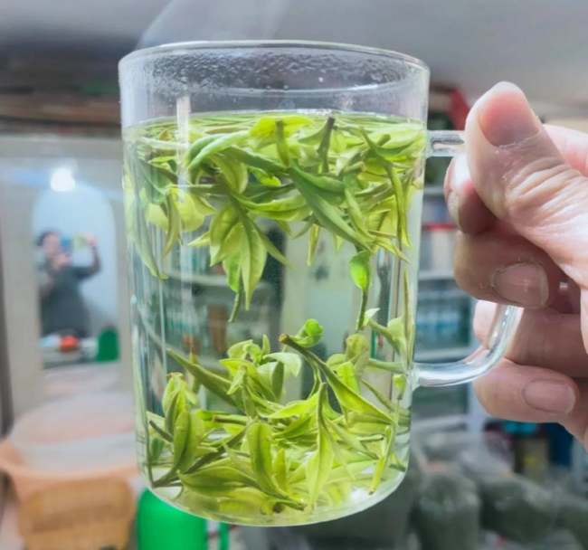 滨州滨城安吉白茶专卖店，山东滨城安吉白茶【价格、图片、地址、联系方式】