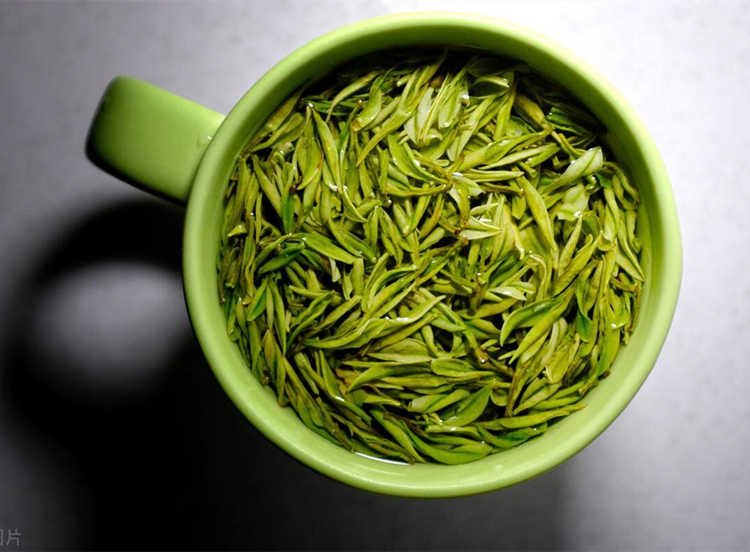 商丘宁陵县安吉白茶专卖店，宁陵安吉白茶【价格、图片、地址、联系方式】