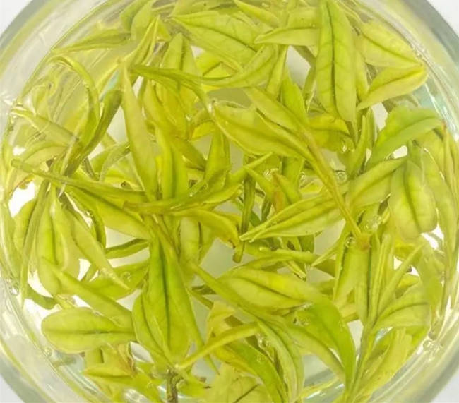 镇江市句容市安吉白茶专卖店，句容市安吉白茶【地址、联系方式】