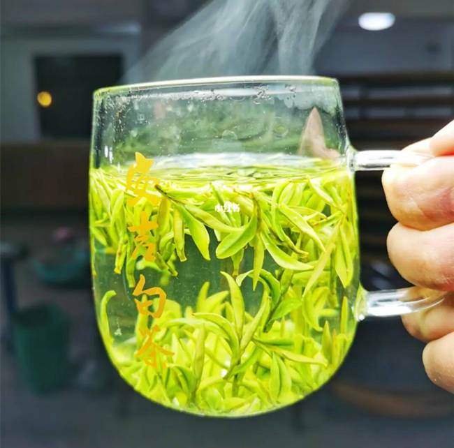 六安市金安区安吉白茶专卖店，金安区安吉白茶【价格、图片、地址、联系方式】