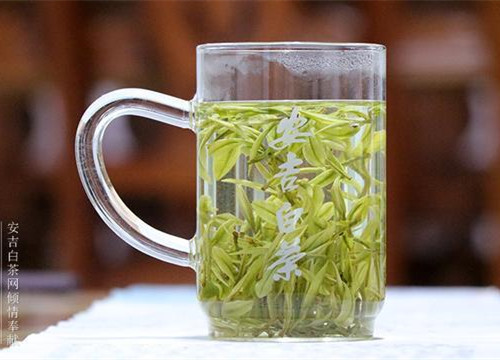 安吉白茶图片，浙江湖州安吉白茶图片大全