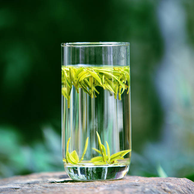 安吉白茶图片，浙江湖州安吉白茶图片大全