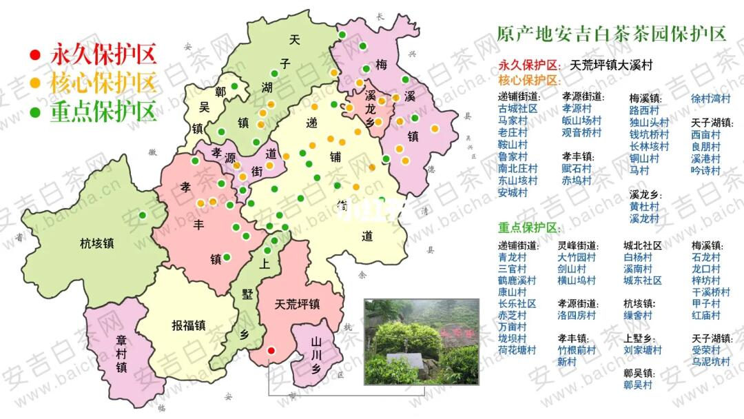 浙江安吉白茶核心产区有哪些，原产地安吉白茶产区划分