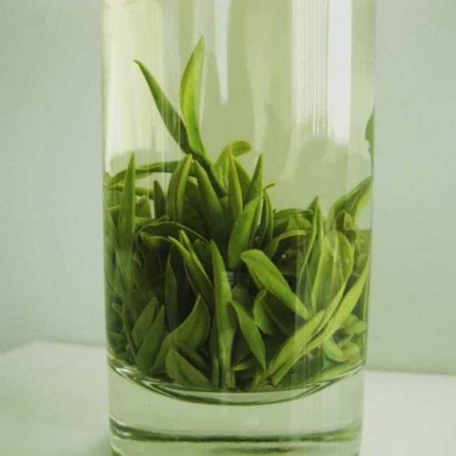 安徽名优特产岳西翠兰，岳西翠兰茶图片介绍