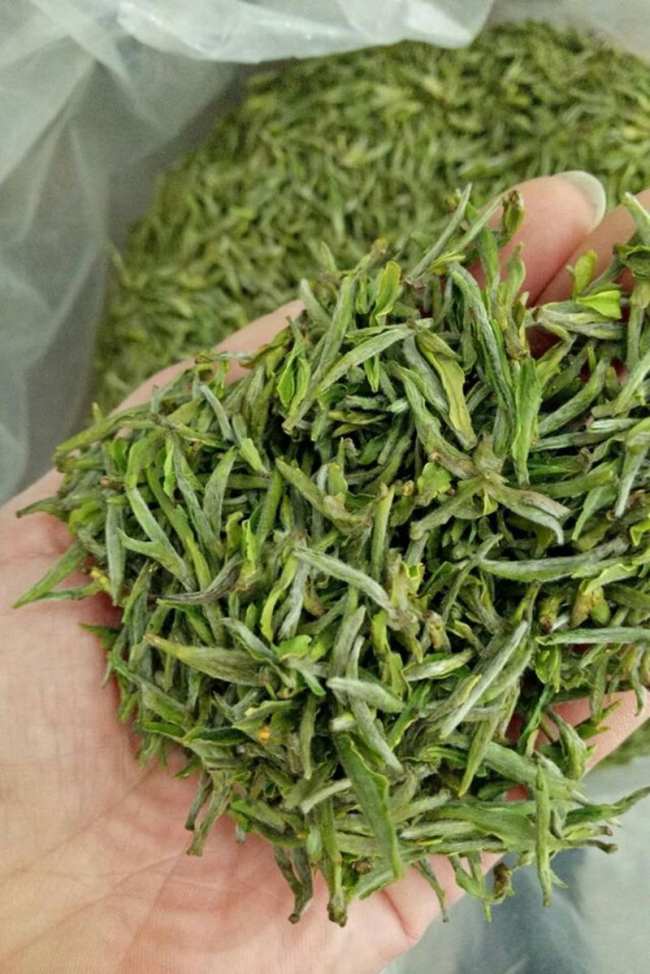 安徽名优特产岳西翠兰，岳西翠兰茶图片介绍