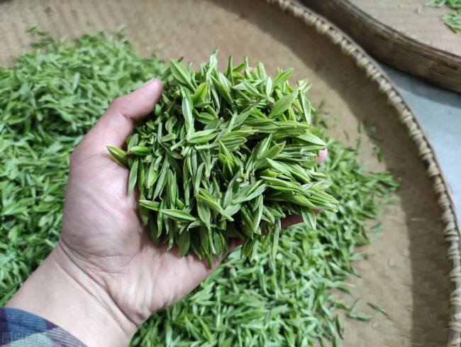 安徽云雾茶，岳西翠兰的功效与作用有哪些