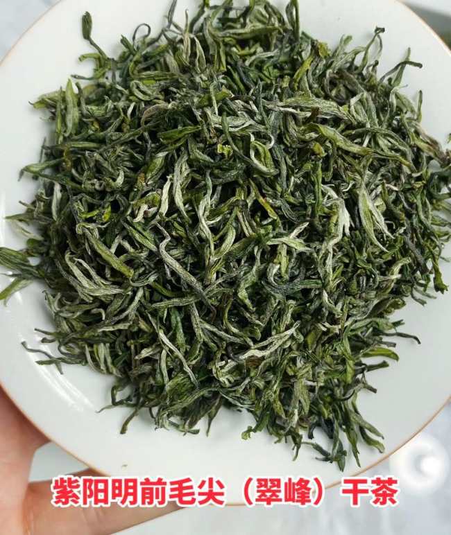 陕西富硒紫阳毛尖茶怎么样，紫阳毛尖茶图片介绍
