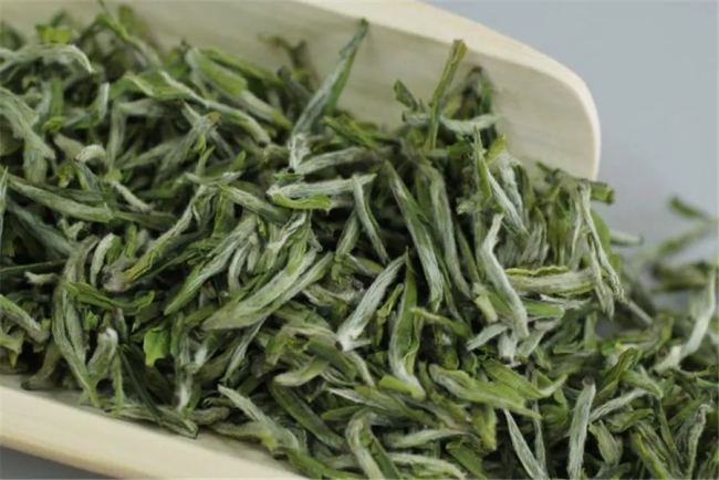 日铸雪芽茶怎么储存，日铸雪芽茶的保存方法有哪些