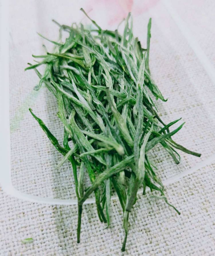 湖南安化松针简介，安化松针茶图片介绍