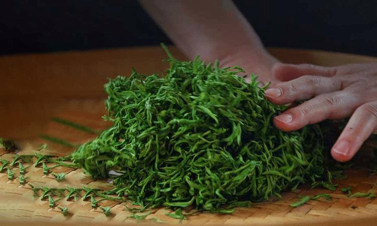 湖南安化松针简介，安化松针茶图片介绍