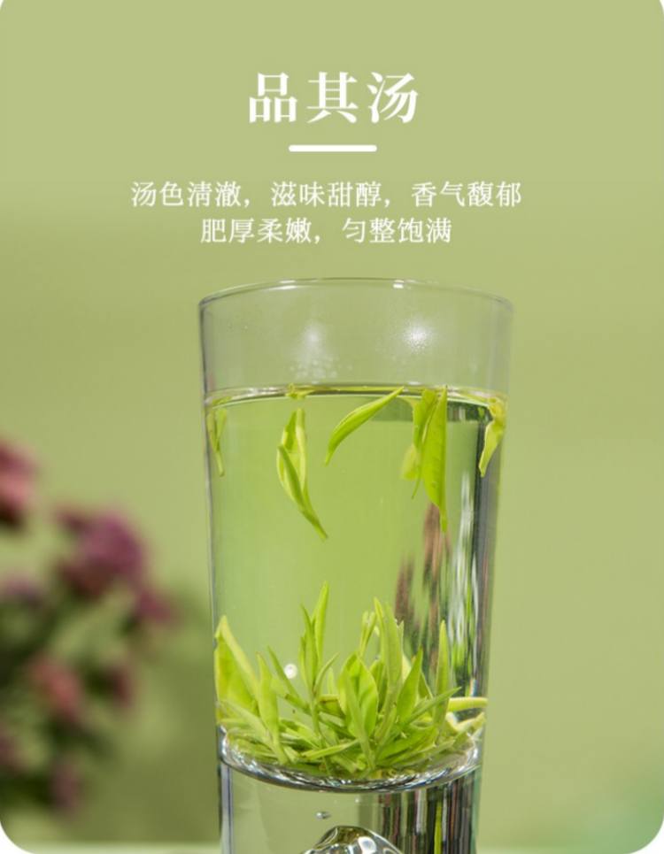 湖南安化松针简介，安化松针茶图片介绍