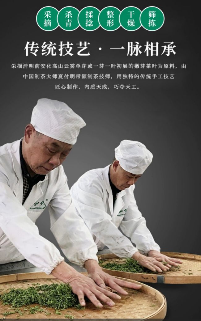 安化松针茶品牌有哪些，正宗安化松针茶价格多少钱一斤