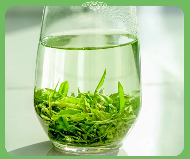 庐山云雾茶的功效与作用有哪些，江西庐山云雾茶怎么样