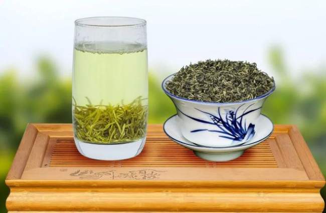 浙江普陀山云雾茶怎么样，普陀佛茶图片介绍