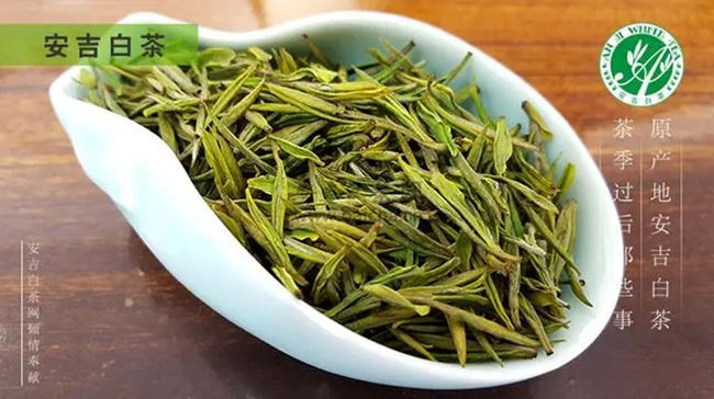 安吉白茶、安吉奶白皇金芽、黄金芽、黄金叶怎么区别