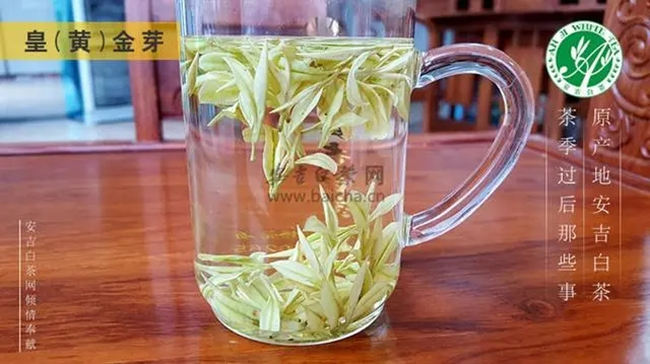 安吉白茶、安吉奶白皇金芽、黄金芽、黄金叶怎么区别