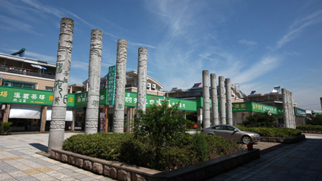 溪龙安吉白茶青叶交易市场地址，安吉白茶青叶在哪里交易