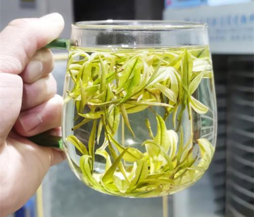 安吉白茶营养价值，安吉白茶的功效与作用有哪些