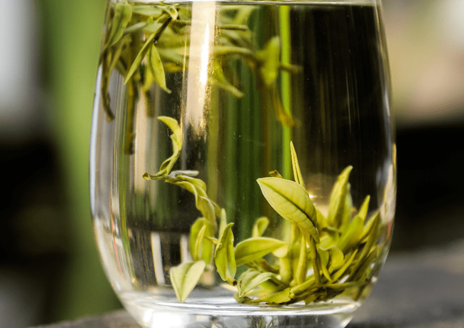 福鼎白茶、安吉白茶、云南月光白的区别有哪些，白茶是什么茶