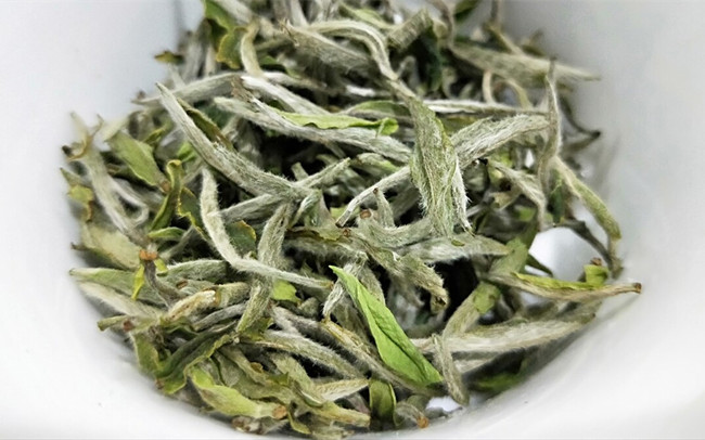 福鼎白茶、安吉白茶、云南月光白的区别有哪些，白茶是什么茶