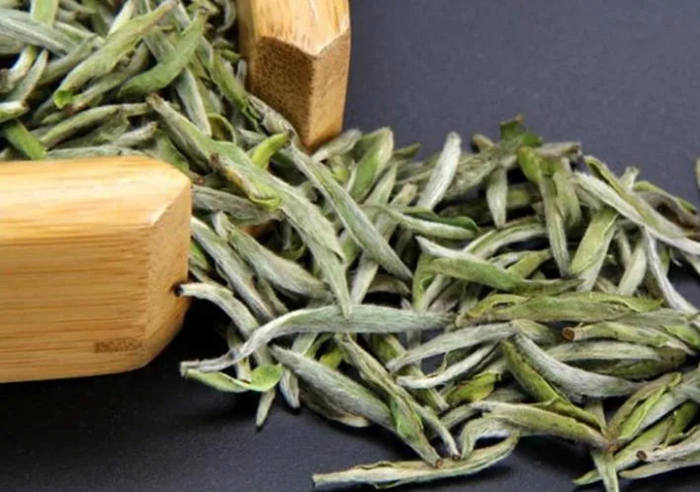 白茶的功效与作用介绍，白茶的副作用有哪些