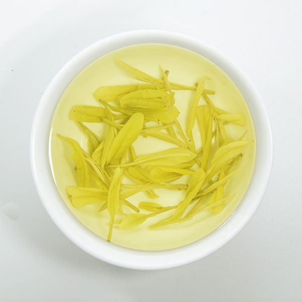 白叶一号安吉白茶属于什么茶，安吉白茶是白茶还是绿茶