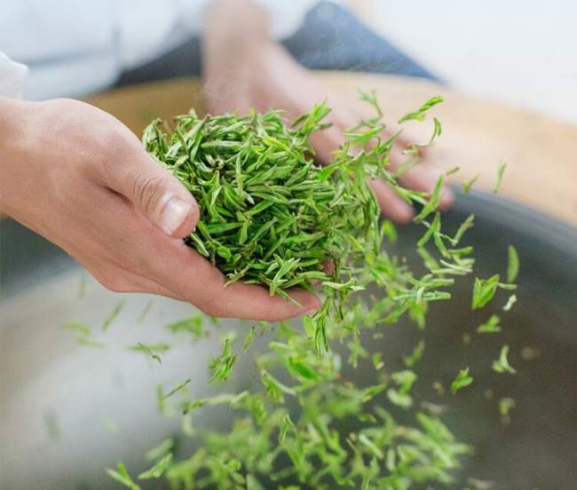 南京雨花茶怎么储存好，雨花茶的保存方法技巧