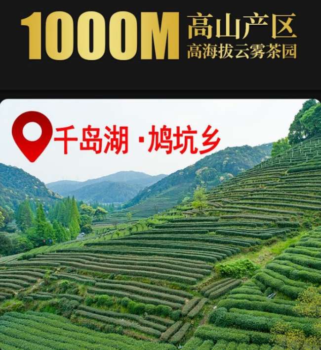 鸠坑毛尖茶冲泡方法步骤，淳安鸠坑毛尖茶怎么泡好吃