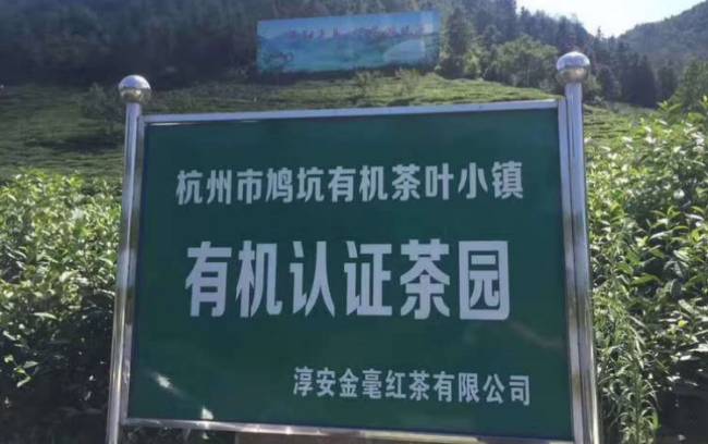 鸠坑毛尖茶生长环境怎么样，鸠坑毛尖茶核心产区在哪里