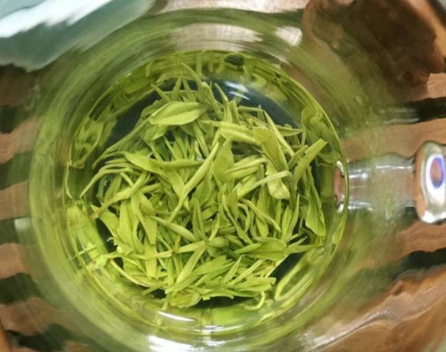 景宁特产惠明茶怎么样，丽水惠明茶图片简介