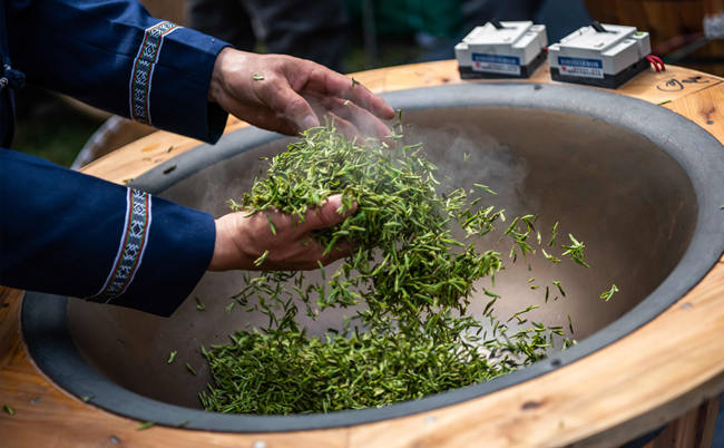 惠明茶属于什么茶，浙江惠明茶历史由来简介