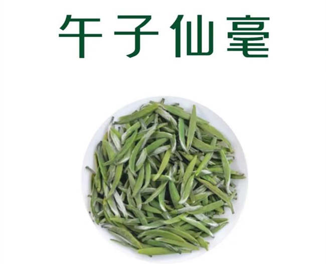 汉中午子仙毫茶怎么样，陕西午子仙毫茶图片简介