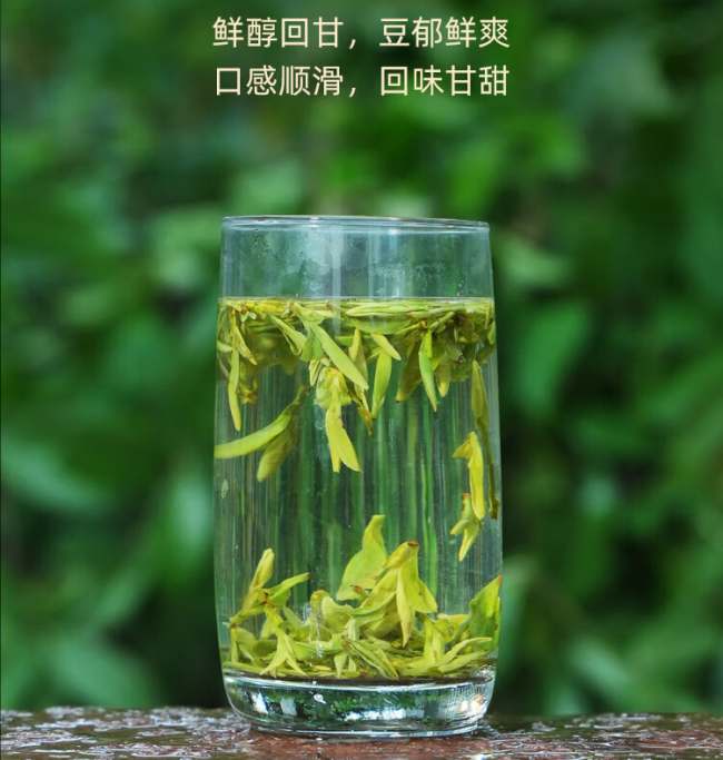 绿茶大佛龙井茶的冲泡方法，大佛龙井茶怎么泡茶好喝