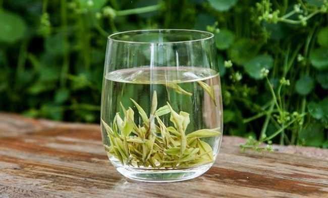 南京玄武区安吉白茶专卖店，玄武区安吉白茶【图片、价格、原产地】