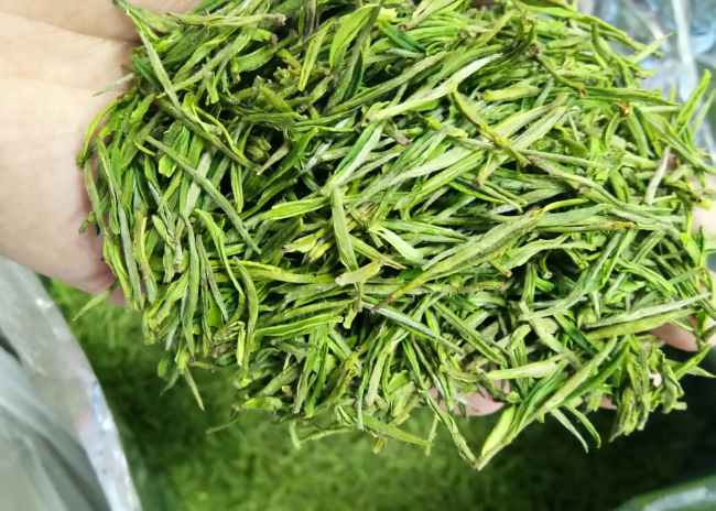 南京建邺区安吉白茶专卖店，建邺区安吉白茶【图片、价格、原产地】