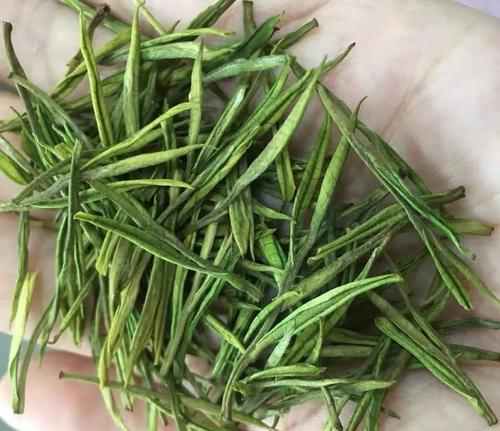 南京鼓楼区安吉白茶专卖店，鼓楼区安吉白茶【图片、价格、原产地】