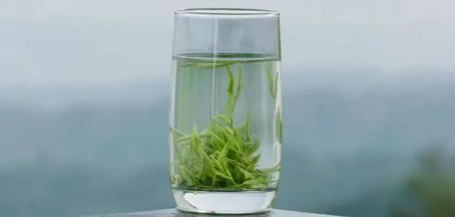 浙江武阳春雨茶怎么样，金华武阳春雨茶图片简介