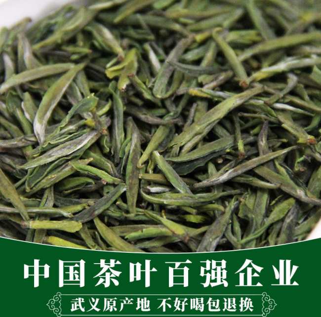 武阳春雨的功效与作用，武阳春雨茶的营养价值有哪些