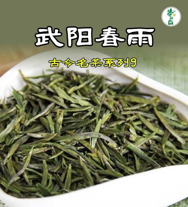 武阳春雨茶属于什么茶，浙江武阳春雨历史由来简介