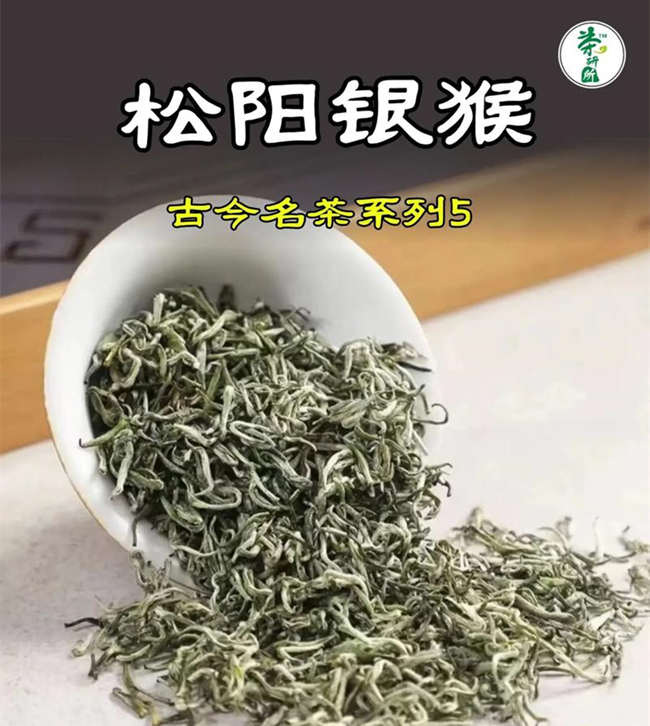 松阳银猴怎么样，浙江名茶松阳银猴图片简介