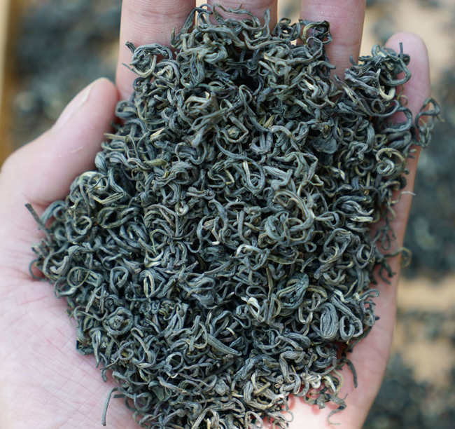 松阳银猴茶生长环境怎么样，丽水松阳银猴茶核心产区在哪里