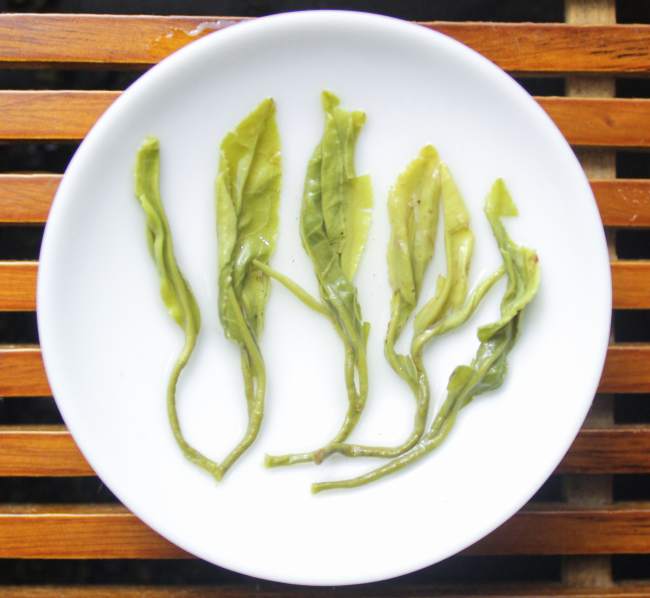 嵊州泉岗辉白茶怎么样，浙江泉岗辉白茶图片简介