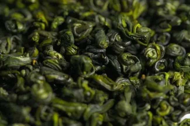 平水珠茶属于什么茶，浙江平水珠茶历史由来简介