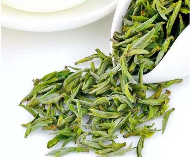 浙江兰溪毛峰茶怎么样，金华兰溪毛峰茶图片简介