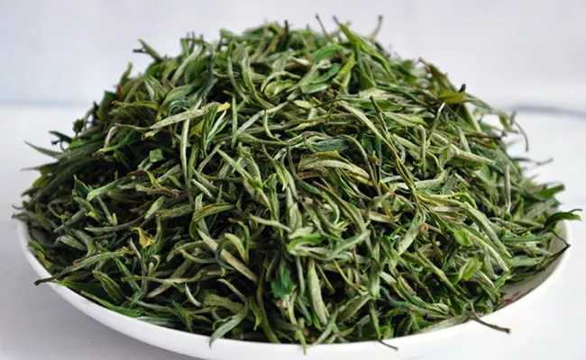 浙江兰溪毛峰茶怎么样，金华兰溪毛峰茶图片简介