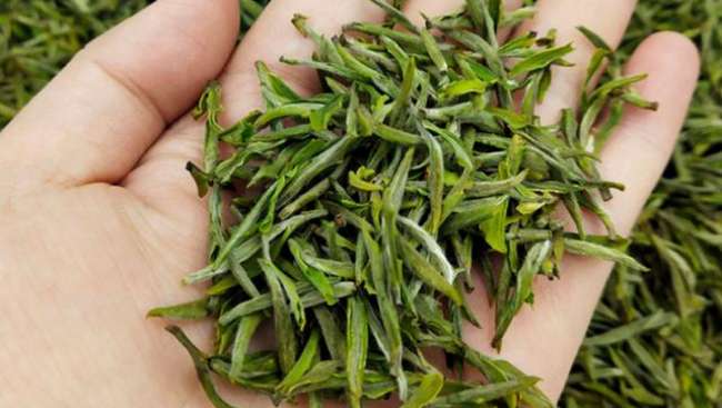 浙江兰溪毛峰茶怎么样，金华兰溪毛峰茶图片简介