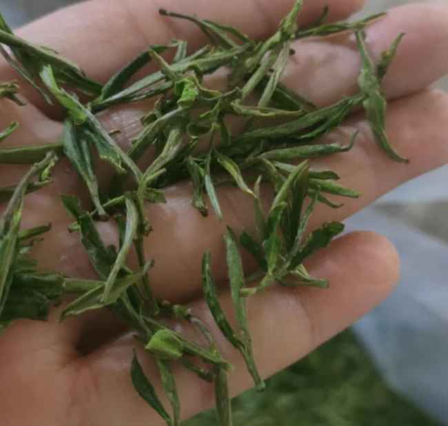 天目青顶茶的功效与作用有哪些，杭州天目青顶茶营养价值