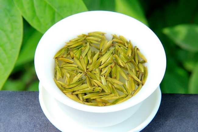 蒙顶黄芽茶冲泡方法步骤，蒙顶黄芽怎么泡茶好喝