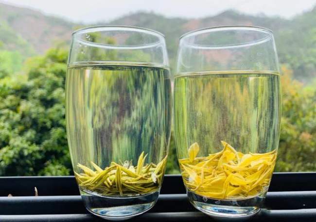 湖北远安黄茶怎么样，茗茶远安黄茶图片简介