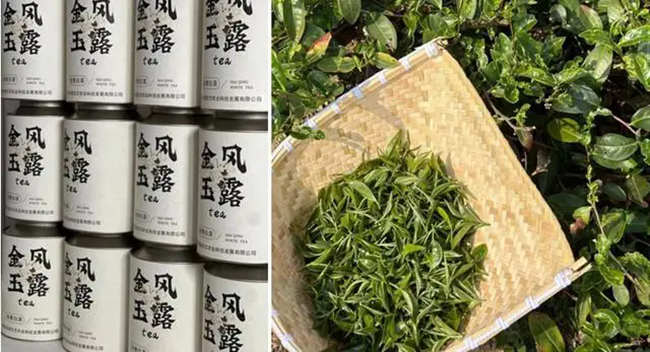 青岛首届白茶茶王赛举行，海青茶斩获多项大奖